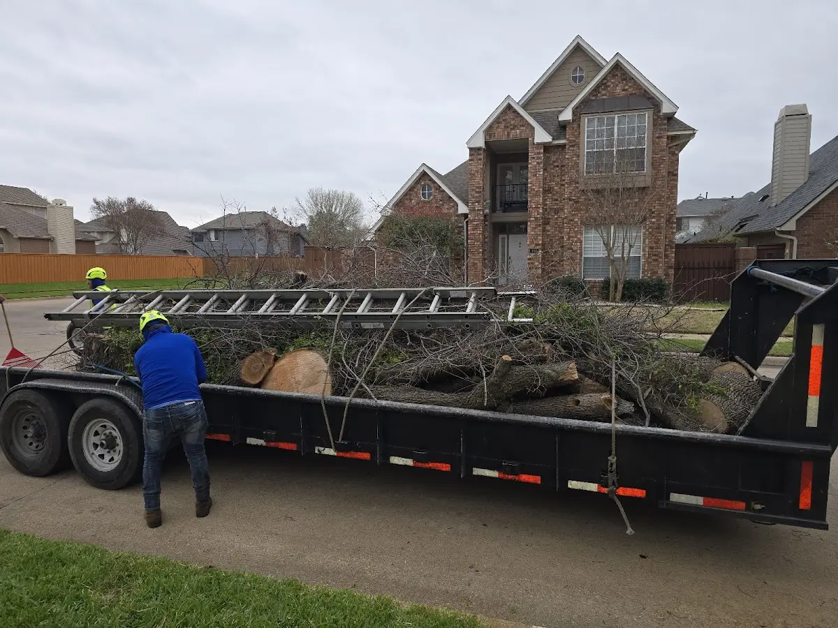 Expert Tree Removal with proper safety equipment in Pleasant Grove